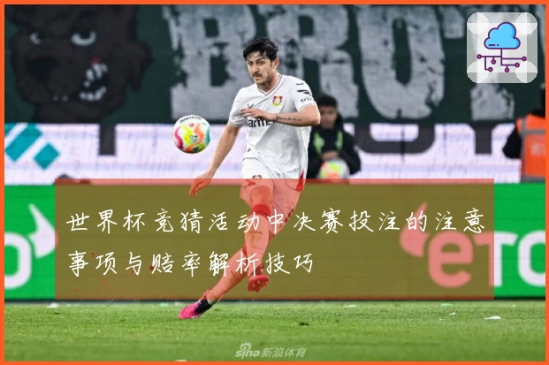 世界杯竞猜活动中决赛投注的注意事项与赔率解析技巧