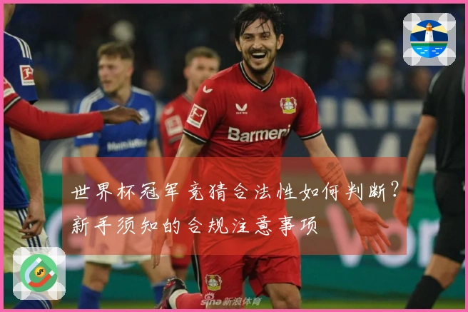 世界杯冠军竞猜合法性如何判断?新手须知的合规注意事项