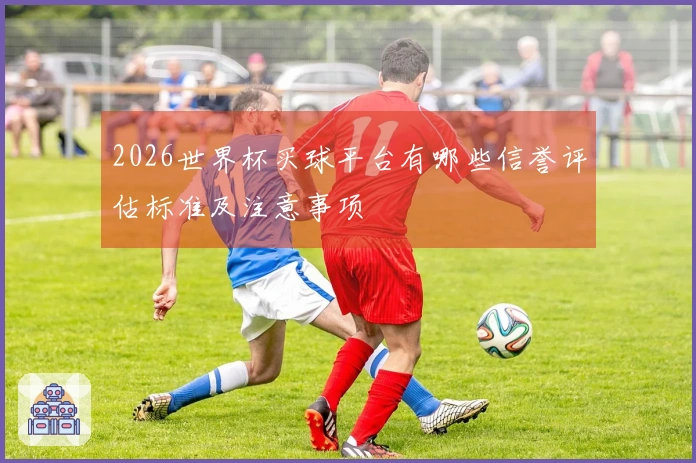2026世界杯买球平台有哪些信誉评估标准及注意事项