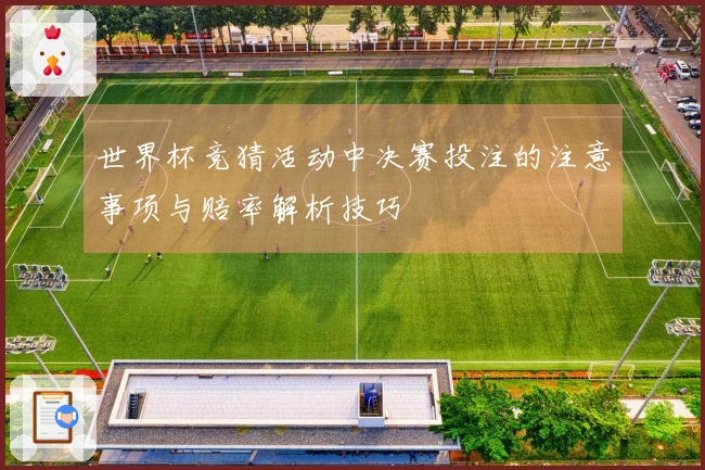 世界杯竞猜活动中决赛投注的注意事项与赔率解析技巧